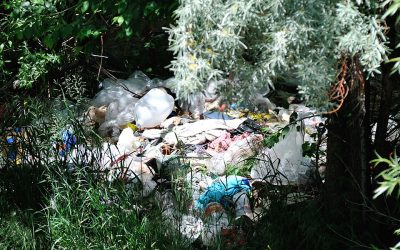 Video: Homeless Camps