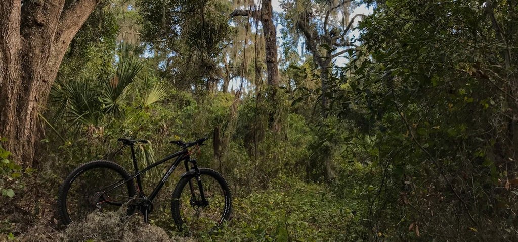 Mountain Biking Balm Boyette Preserve