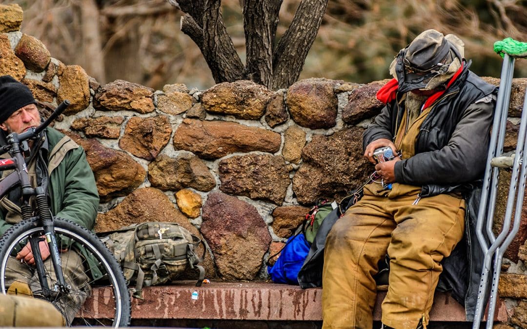 Unexpected Cycling Encounter