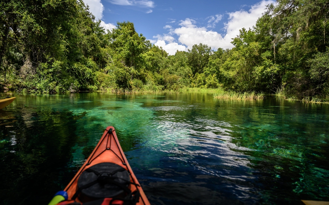 Kayaking Gum Slough Springs