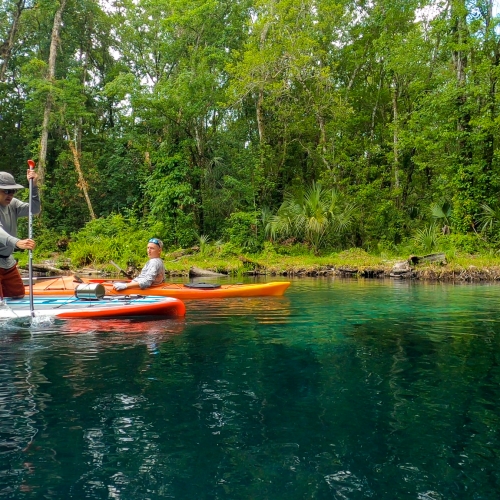 GOPR7395.00_09_48_12.Still002