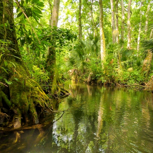 GOPR7395.00_12_36_02.Still003