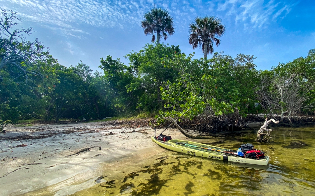 Choosing a Stand Up Paddle Board for Beginners