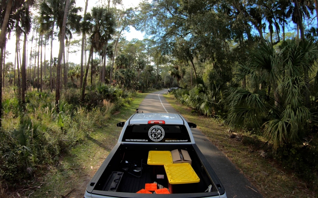 Camping Hillsborough River State Park
