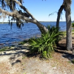 Lake Manatee State Park