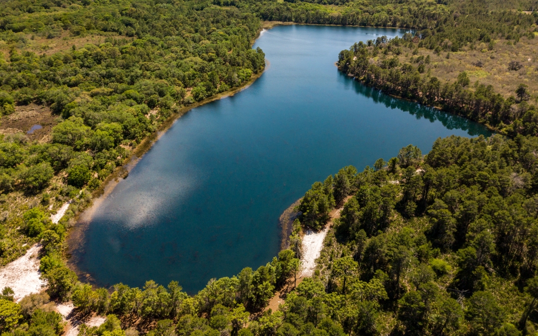 What’s in your backyard?