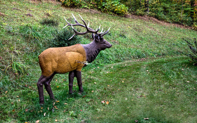Target Archery Growing in Popularity