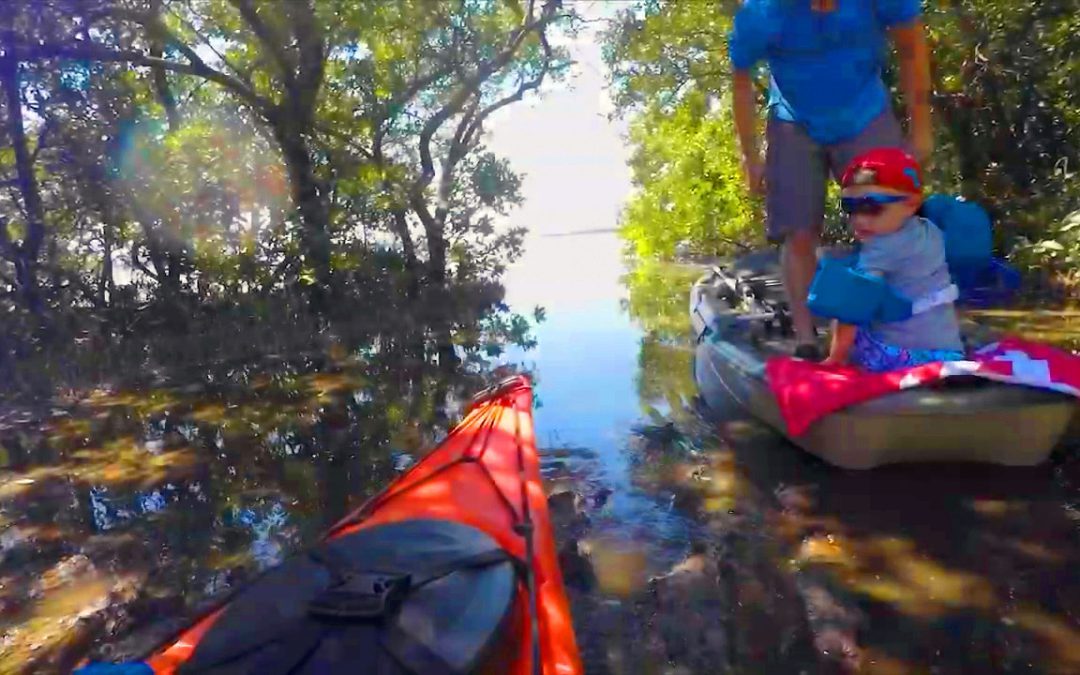 Video: Kayaking Shell Key Florida