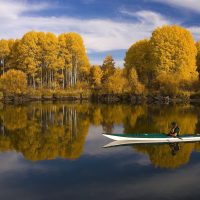 The Inspiration to Breathe